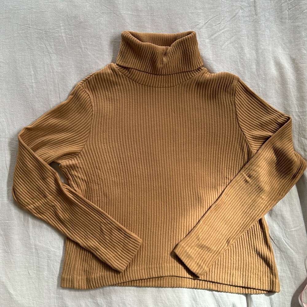 Club Monaco crop turtleneck
